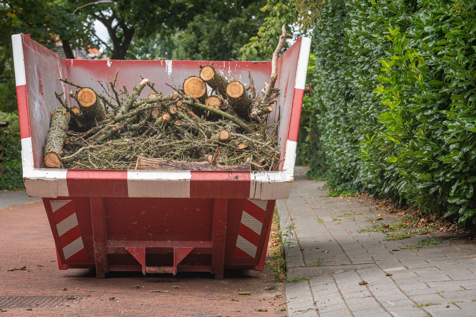 Roll-off dumpster on a driveway