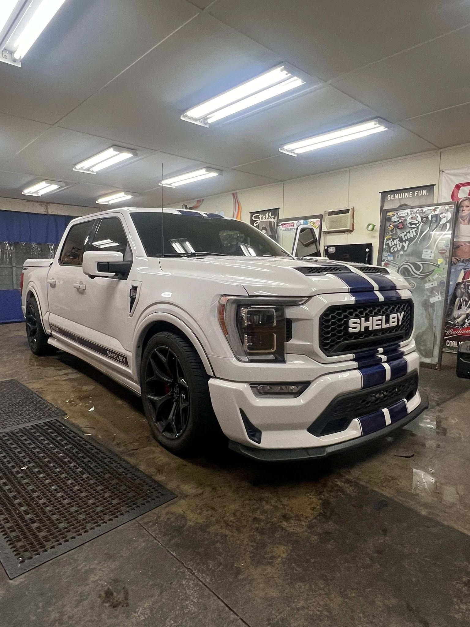 White Shelby Ford F-150 pickup truck with blue racing stripes, parked indoors.