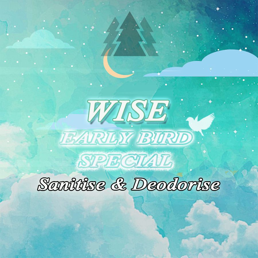 A poster for wise early bird special sanitise & deodorise