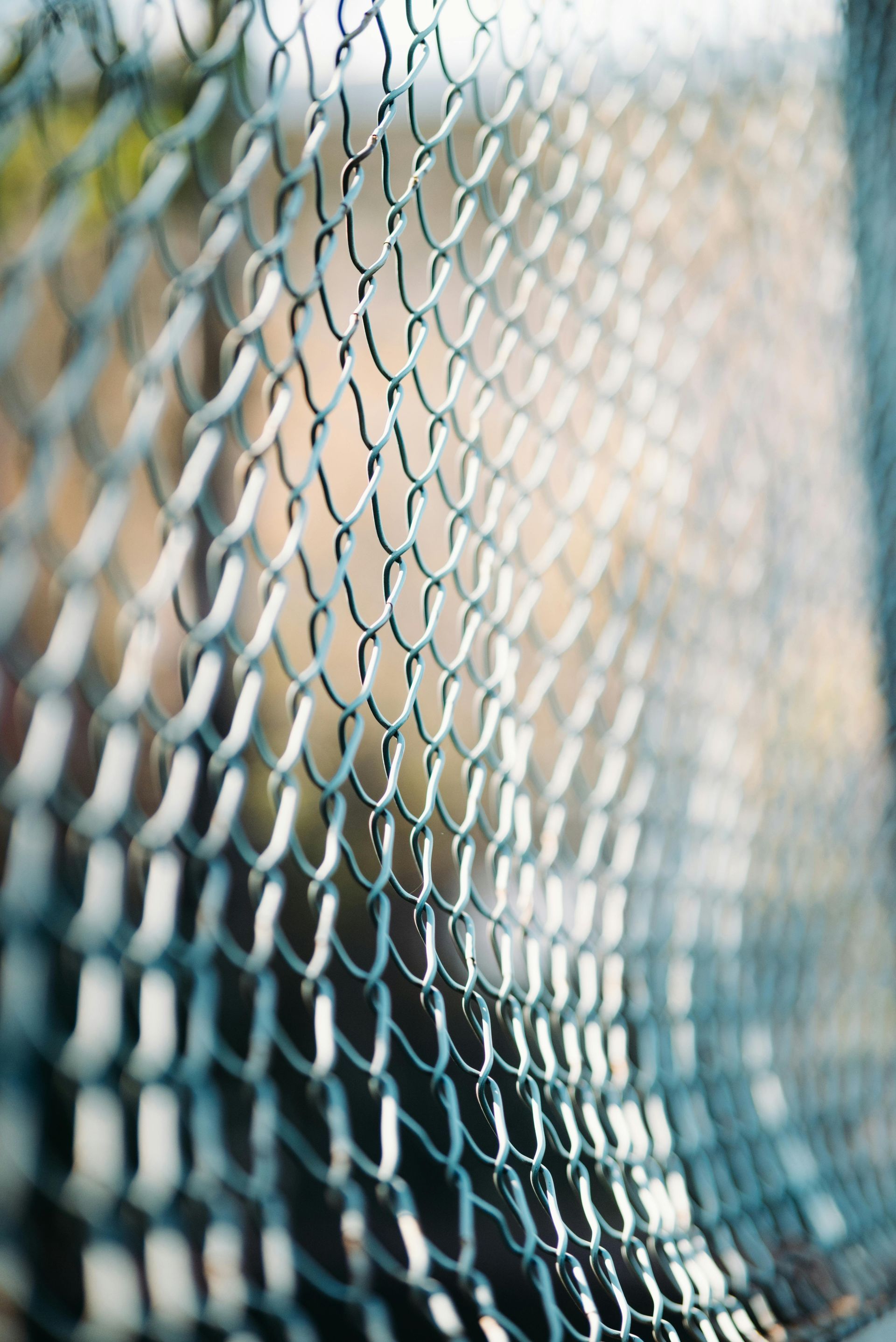 Close-up of a chain-link fence with soft sunlight and blurred background bokeh
