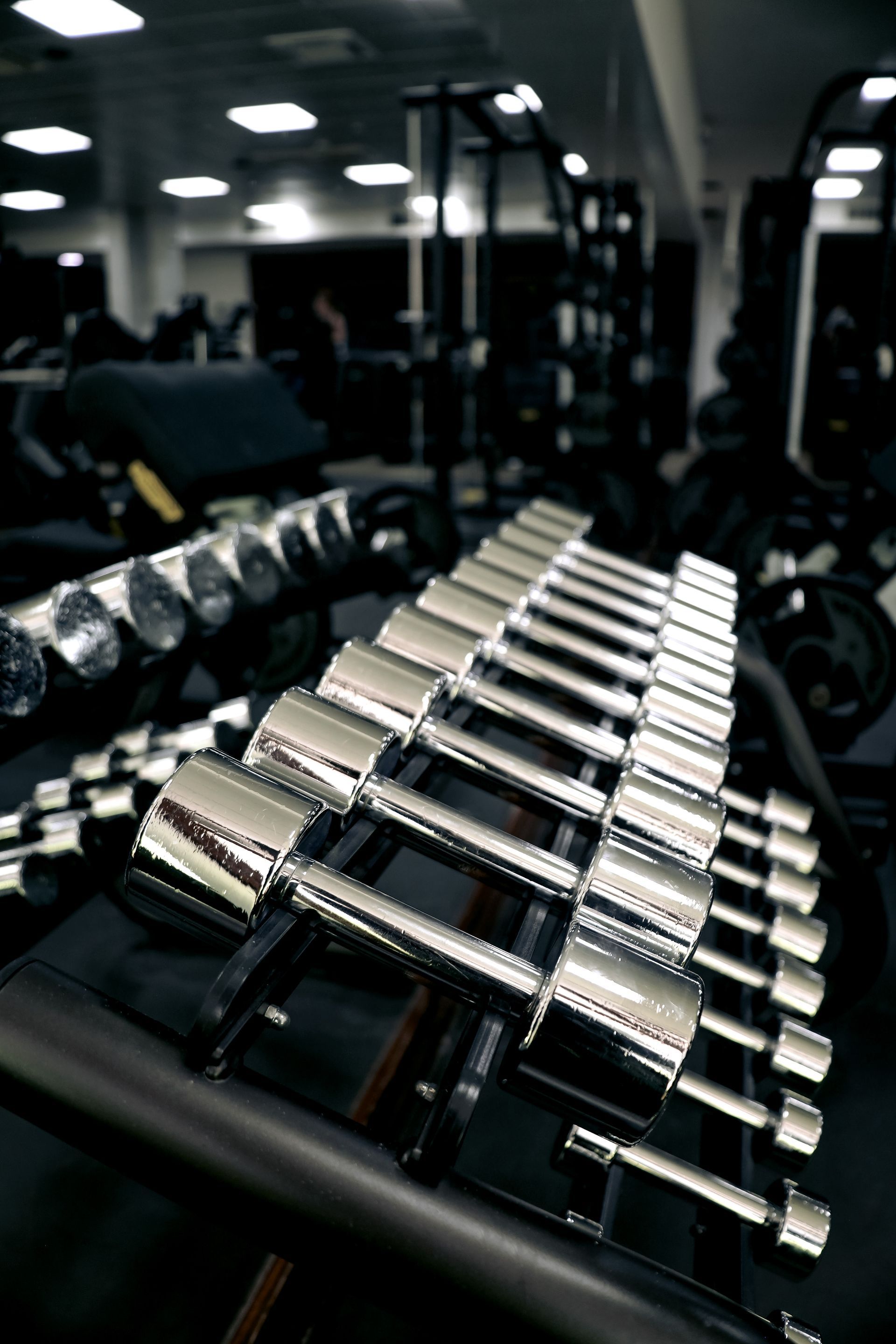 a row of silver dumbbells are lined up on a rack in a gym .