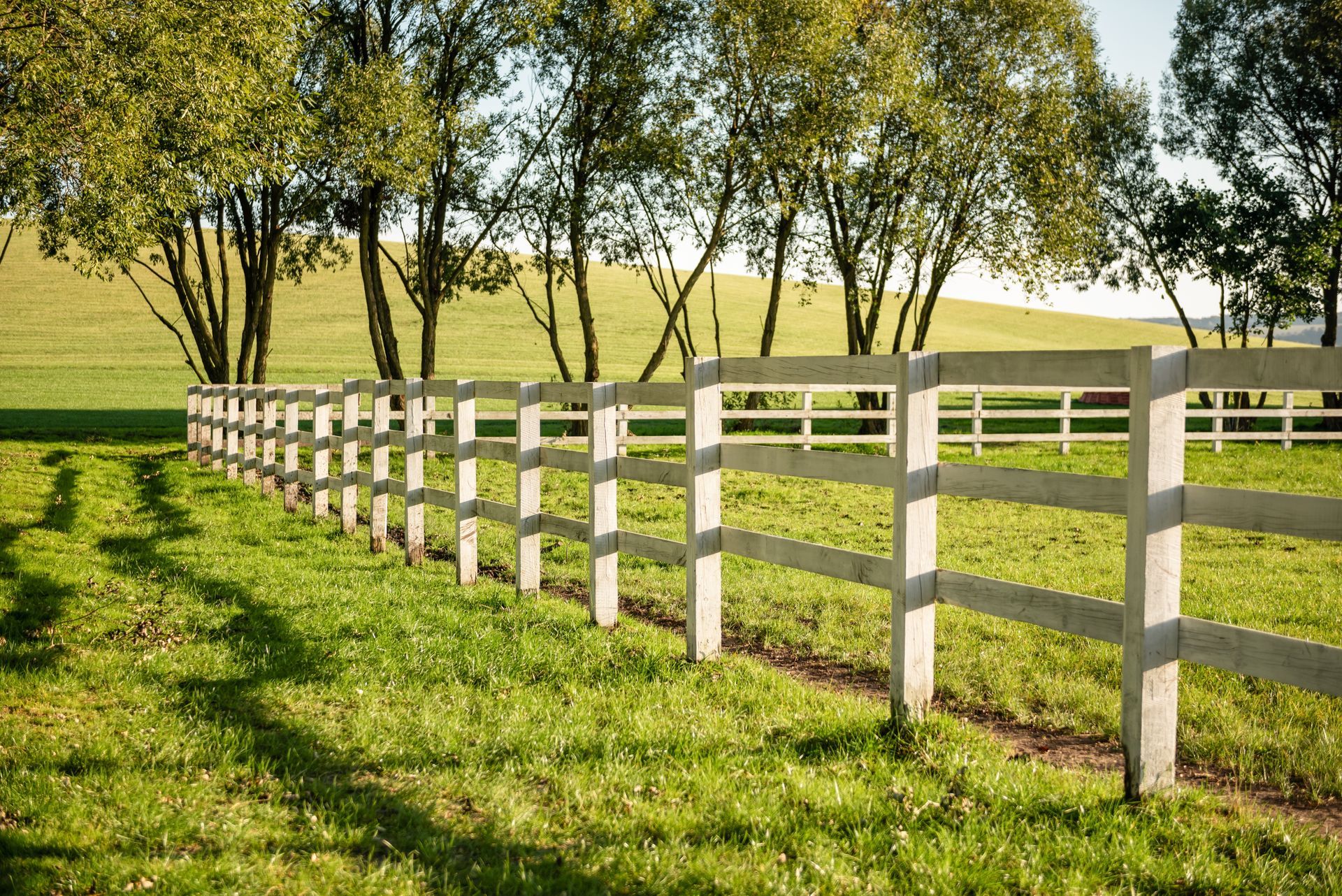 Fencing for Horses