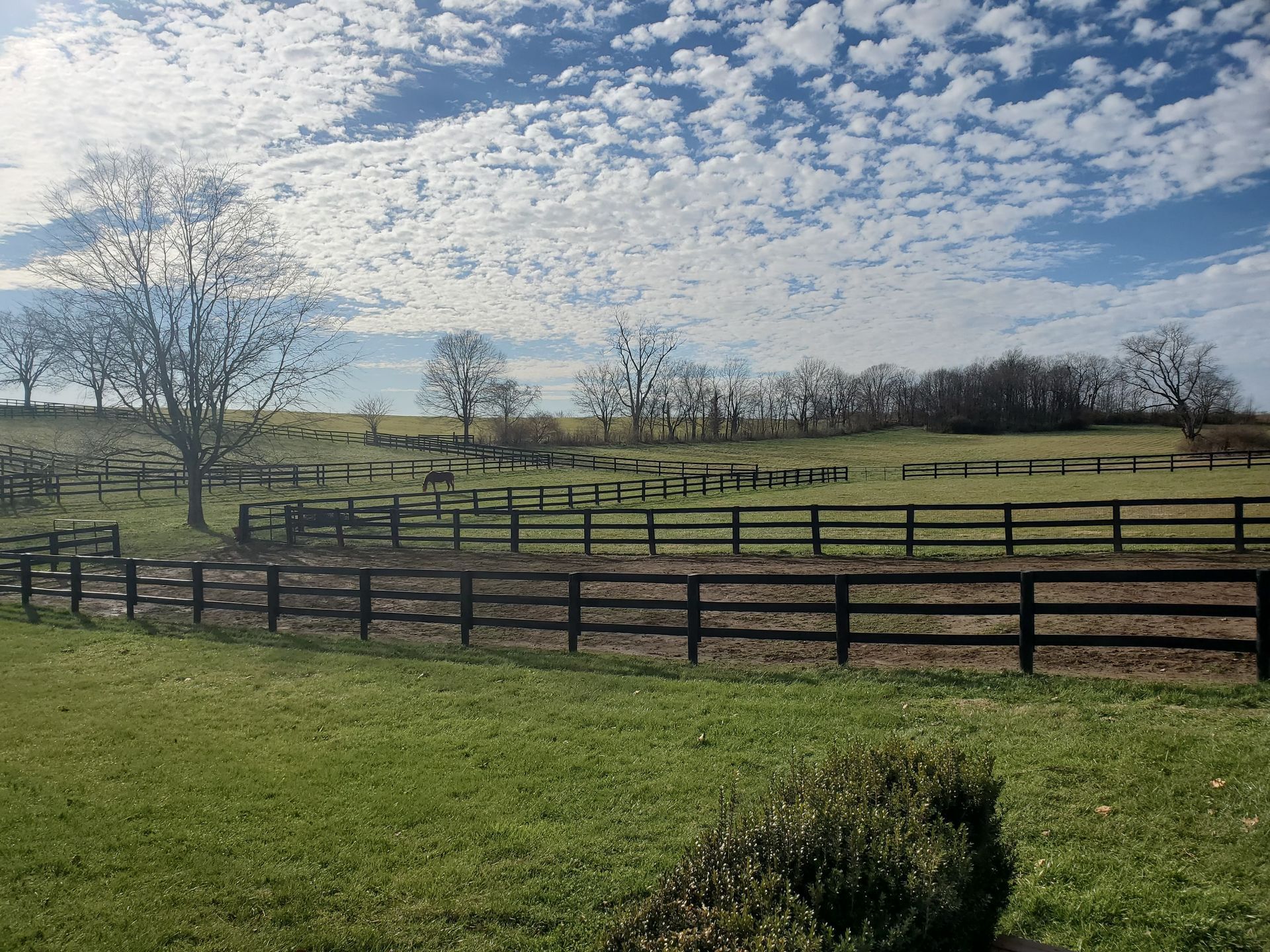 Ranch Fencing