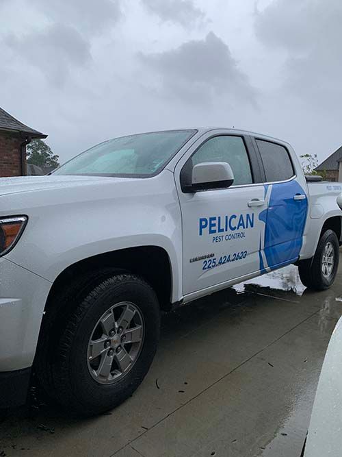 Pelican pest control van