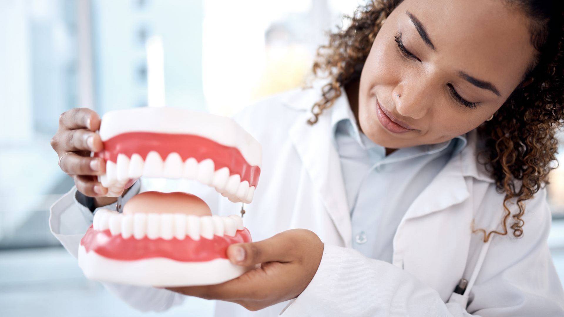 Dentist holding a model of teeth, examining it closely.
