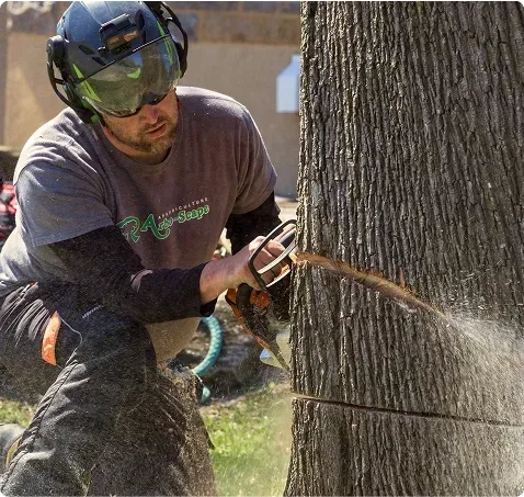 Un homme portant un casque et des lunettes utilise une tronçonneuse pour couper un arbre