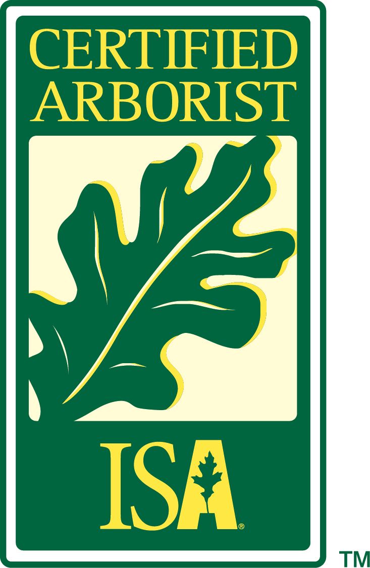 Un arboriste certifié est un logo avec une feuille de chêne