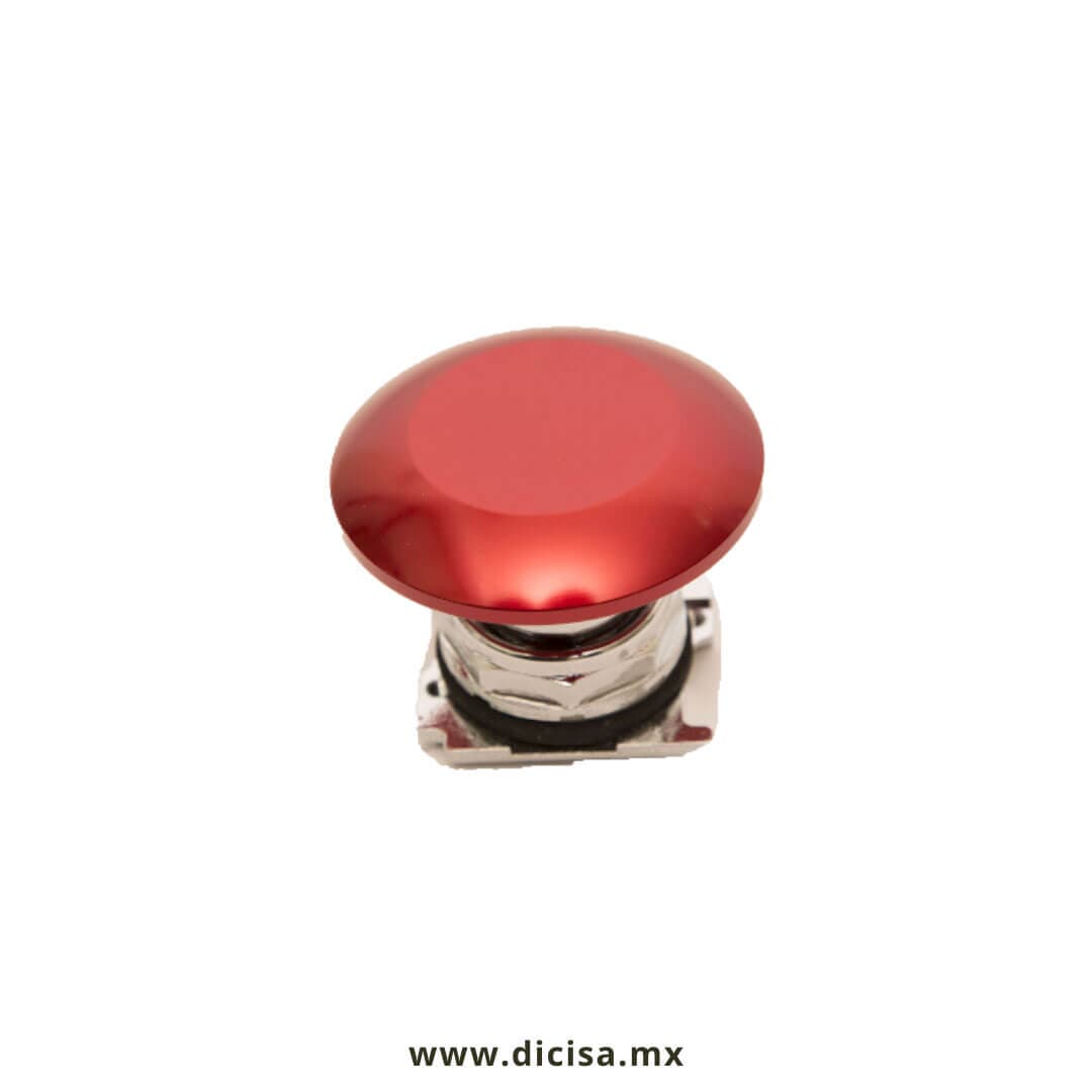 DICISA
