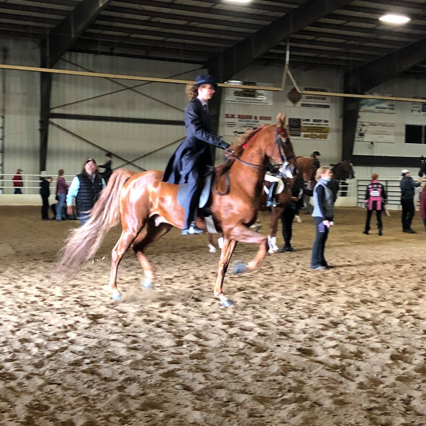 A person in formal equestrian attire rides a chestnut horse.