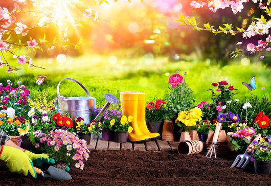 Attrezzi da giardino colorati e fiori in un soleggiato e rigoglioso cortile sul retro.