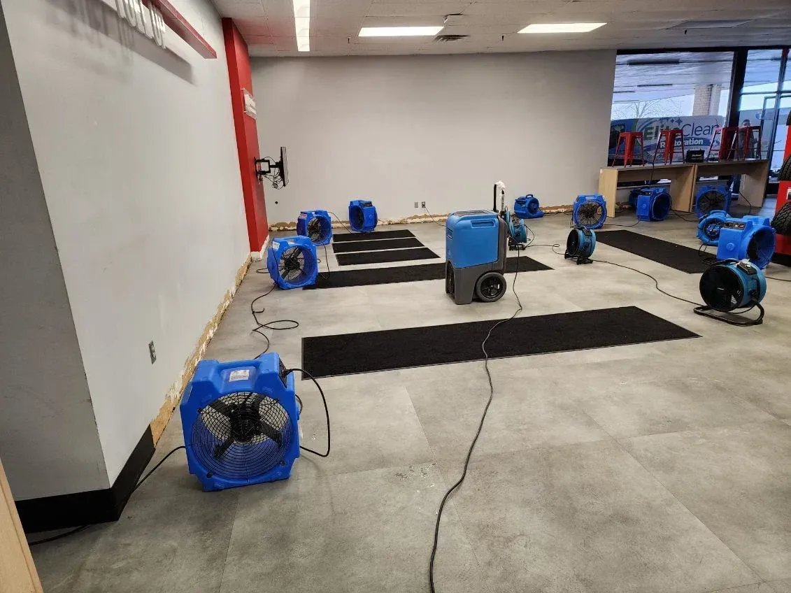 Indoor room with several blue floor fans and black mats arranged on a concrete floor.