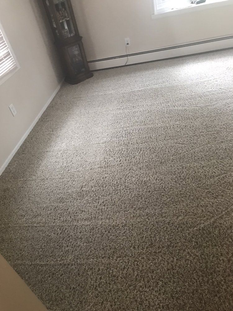 Empty beige-carpeted room with white walls and a closed white garage door.