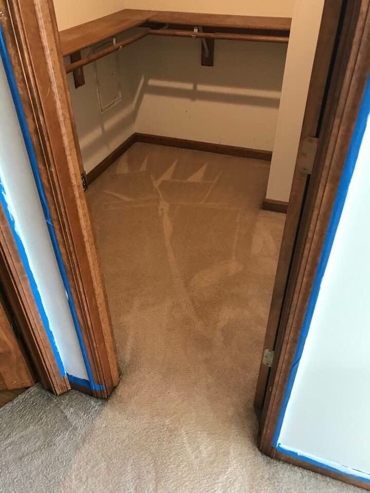 Small closet with beige carpet, wooden shelves, and a sloped ceiling viewed through an open doorway