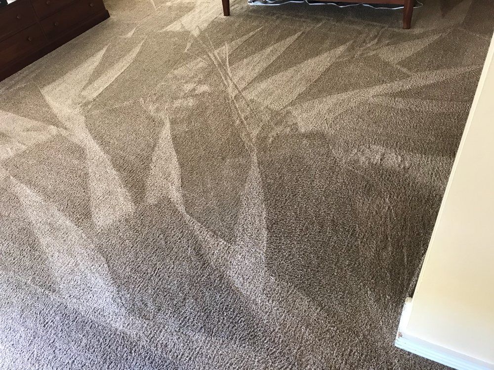 Patterned beige carpet in a room with sunlight and a white wall edge.