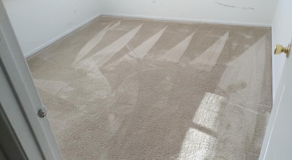 Empty beige carpeted room with sunlight streaming through a window