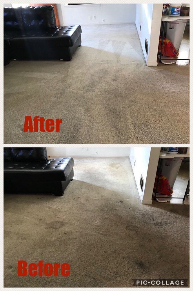 Carpeted living room shown before and after cleaning, with darker stains removed in the after view