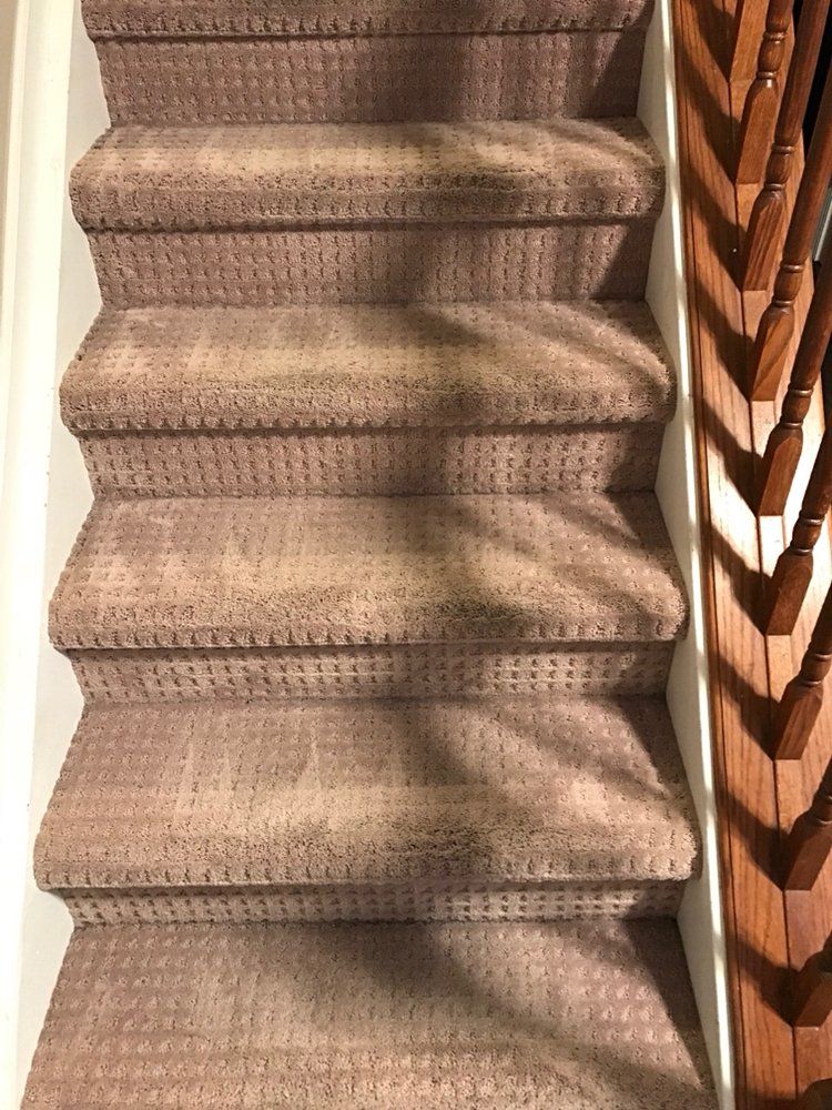 Carpeted staircase with beige stairs and a wooden handrail on the right.