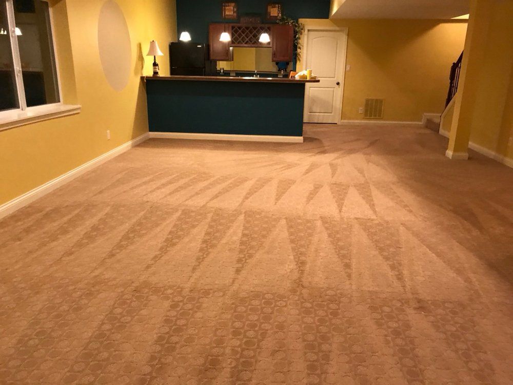 Empty carpeted room with yellow walls and a teal counter at the back end.