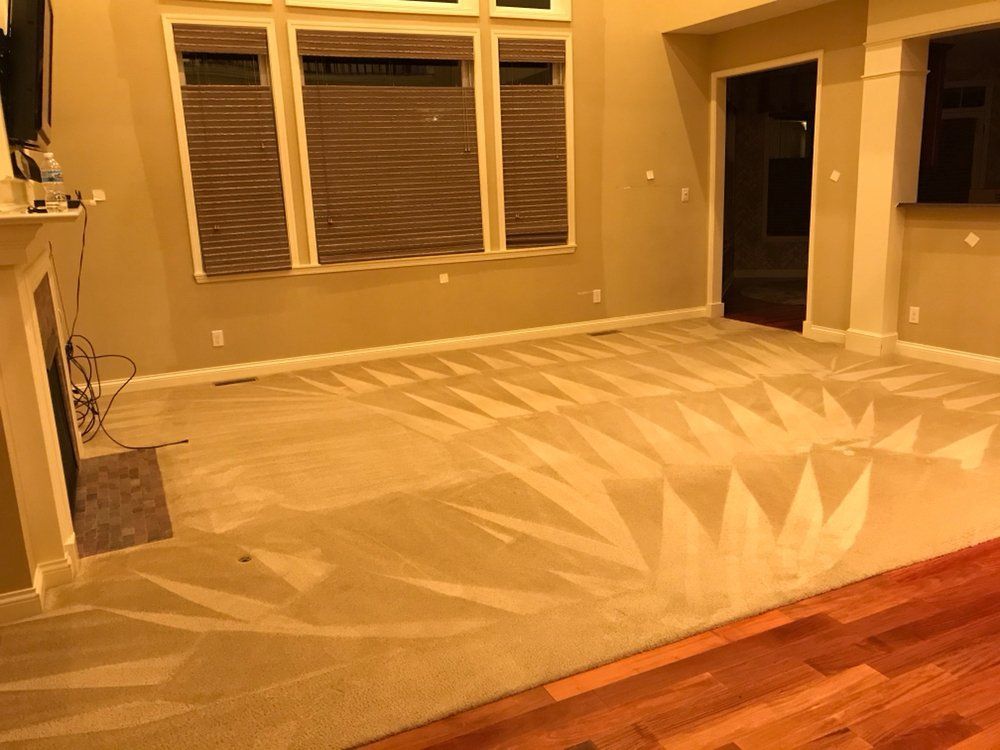 Empty living room with tan carpet, hardwood floor, and a large window with blinds at the back.
