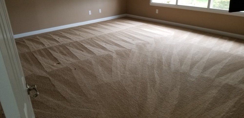 Empty beige carpeted room with tan walls and sunlight streaming across the floor