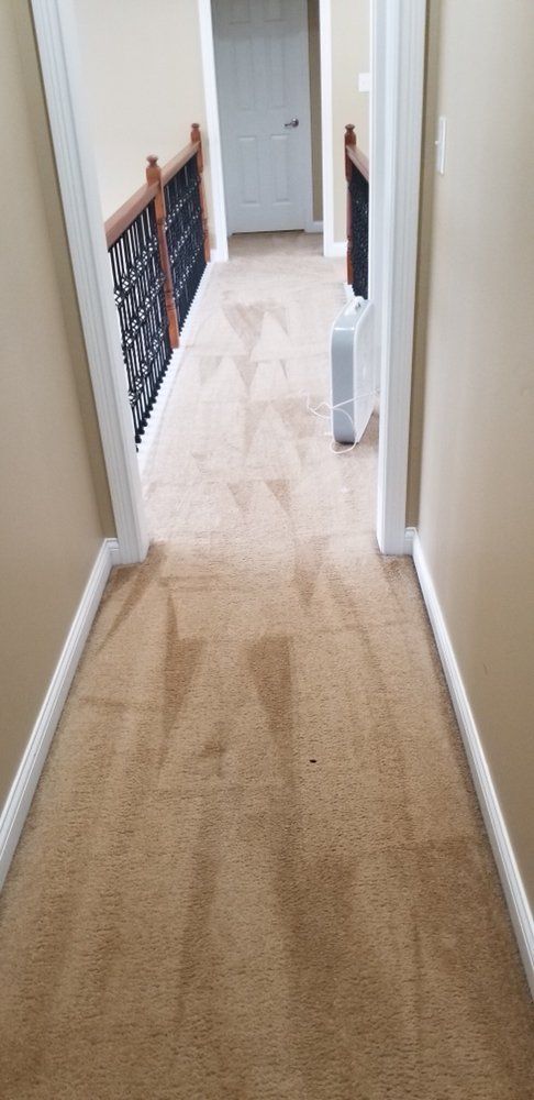Carpeted hallway with beige walls, white trim, and a stair railing on the left leading to a doorway ahead.