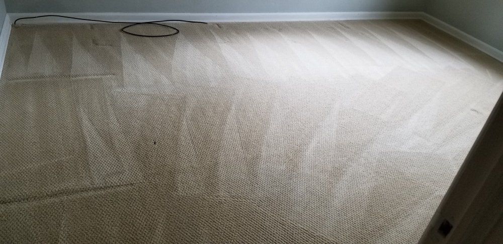 Empty beige carpeted room with a black cable loop near the far wall