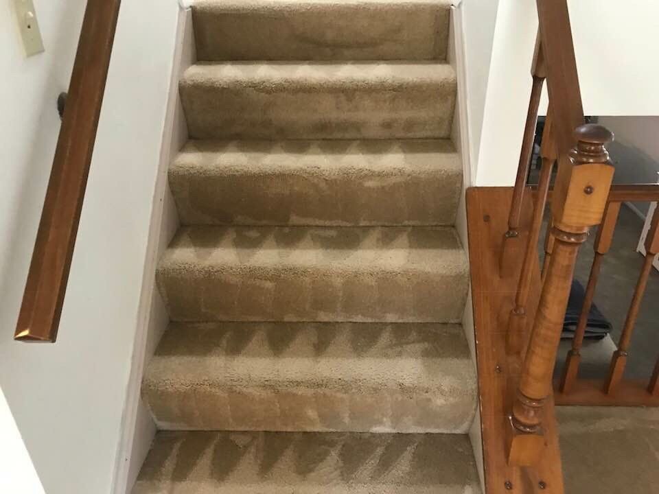 Carpeted indoor staircase with wooden handrails on both sides.