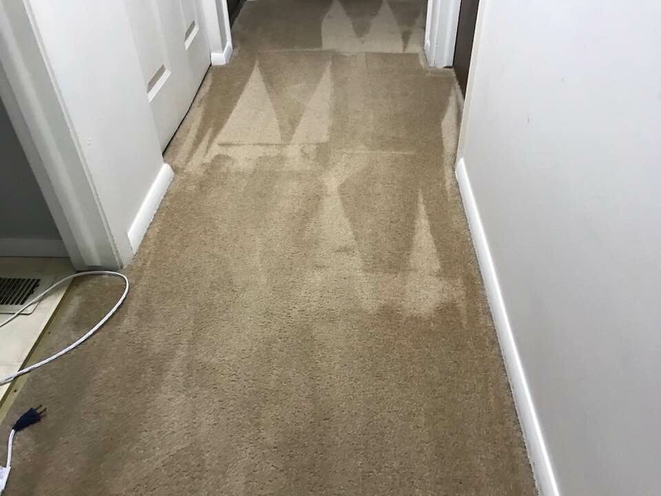 Stained beige carpeted hallway with white walls and baseboards, viewed from one end.