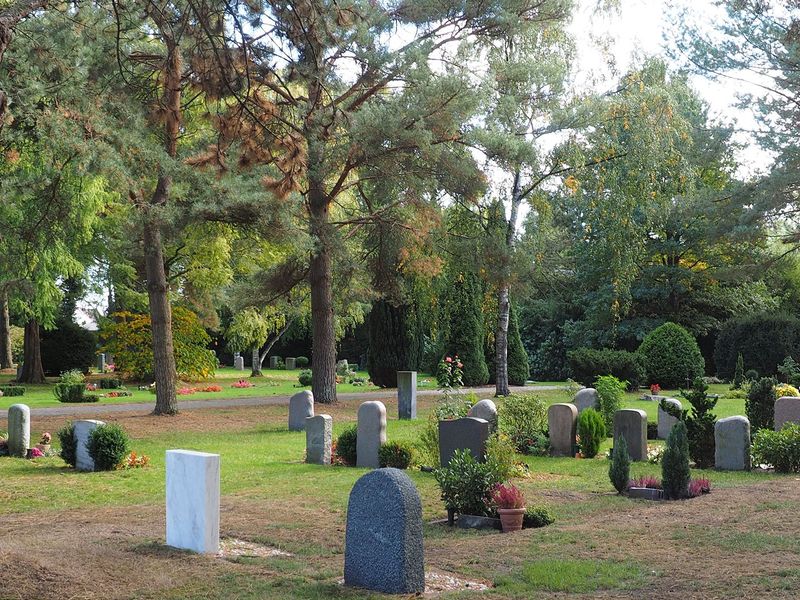 Gravestones in a leafy cemetery with trees and shrubs on a sunny day