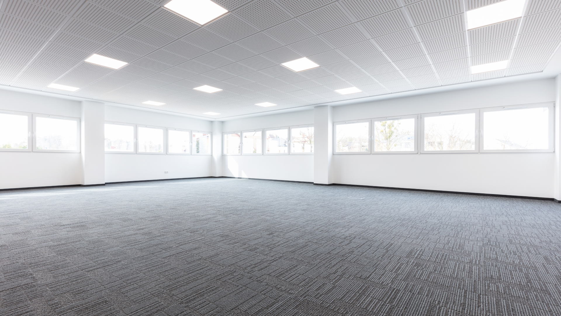 An empty room with a lot of windows and a carpeted floor.