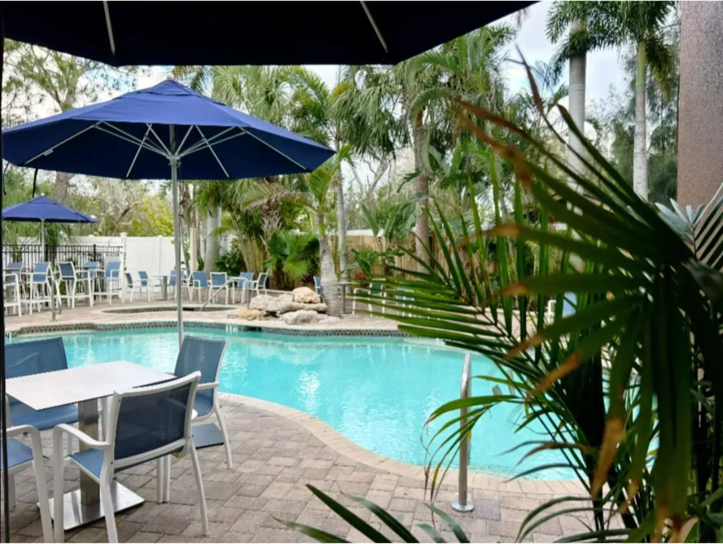 Tropical poolside patio with blue umbrellas, palm trees, and lounge chairs beside turquoise water