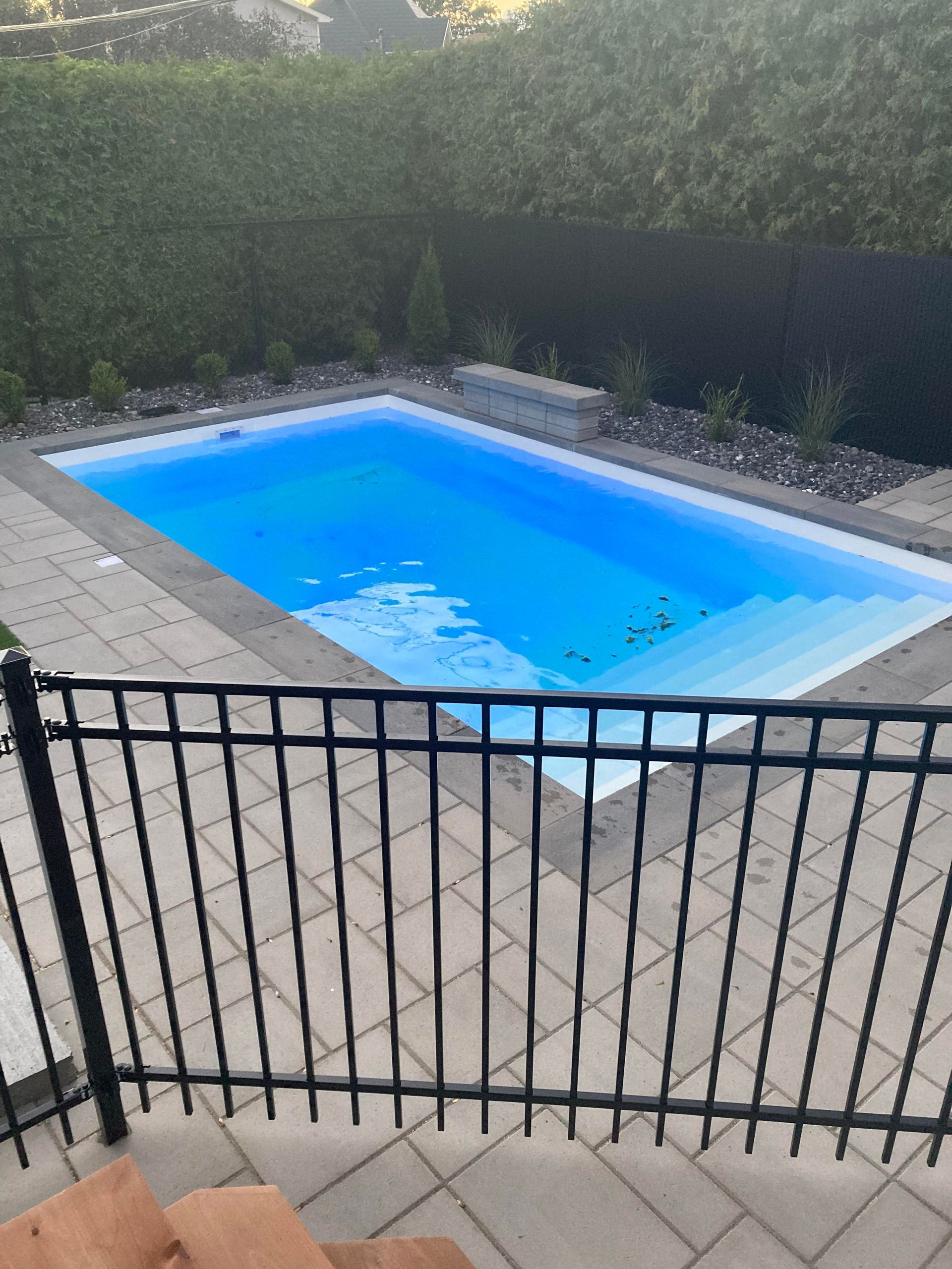 Piscine rectangulaire bleue entourée de pierres, avec marches, clôture noire et haie verte.