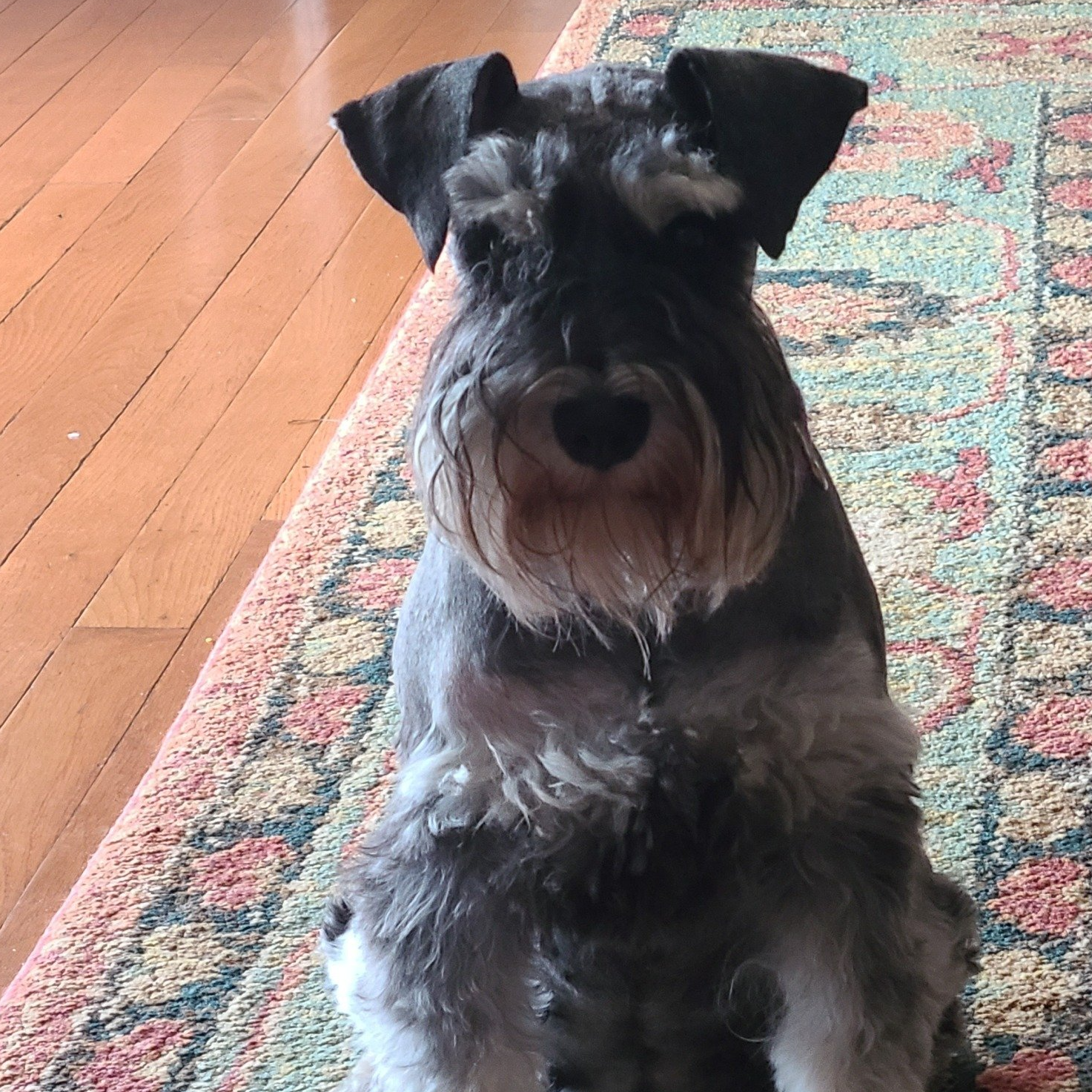 Maggie