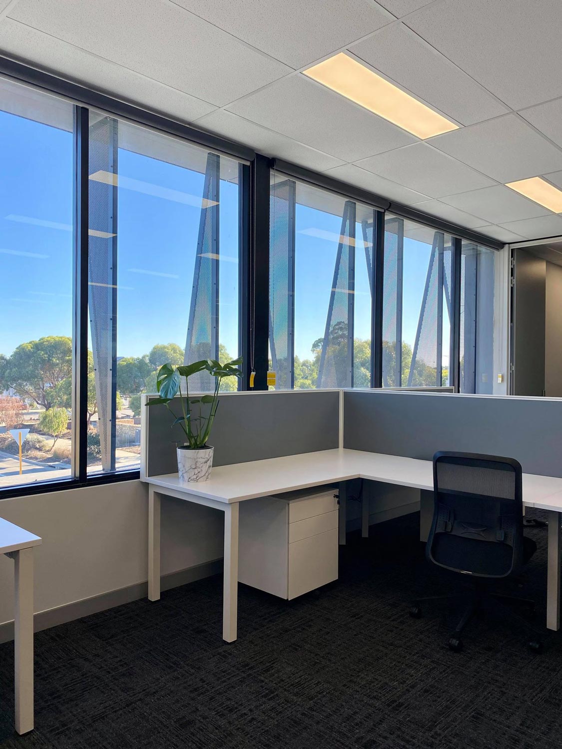 BMD Group Office Fitout 2