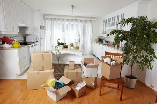 Kitchen With Packed Moving Boxes — Premier Removals & Storage In Boambee, NSW