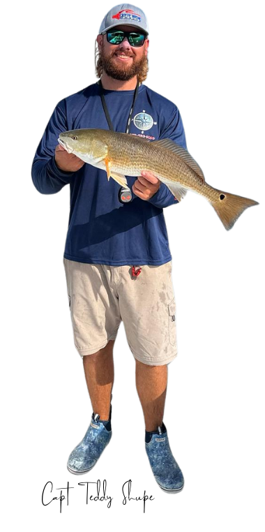 Captain Teddy Shupe is holding a large Redfish in his hands.