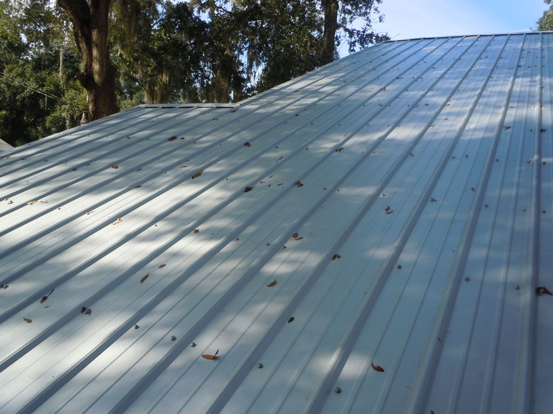 Blue corrugated metal roof with scattered leaves, viewed from below among trees