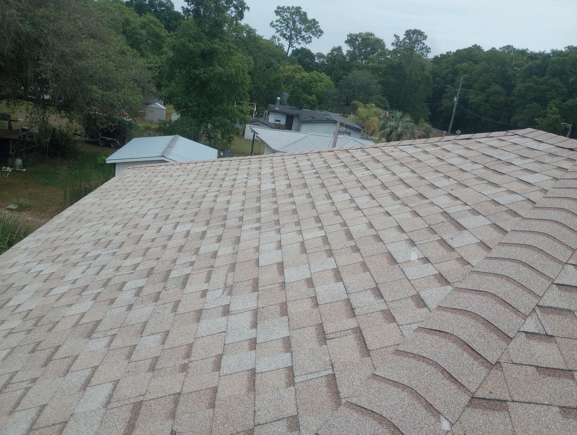Roof shingles with trees and neighboring houses in the background