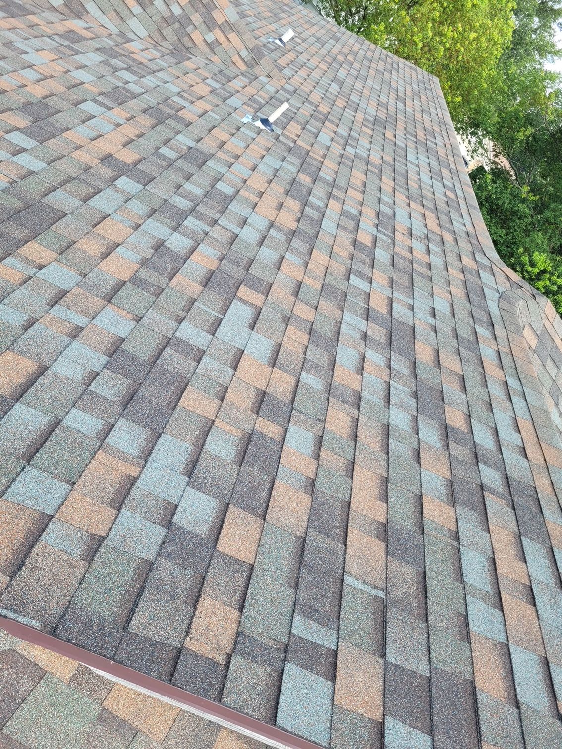 Close-up of a sloped shingle roof with gray, brown, and blue patterned tiles near trees