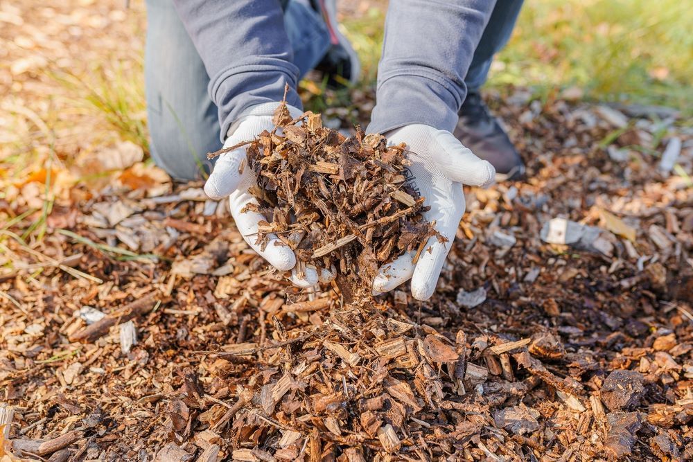 Person Kneeling, Holding Mulch in Gloved Hands — Cessnock Landscaping Supplies In Cessnock, NSW