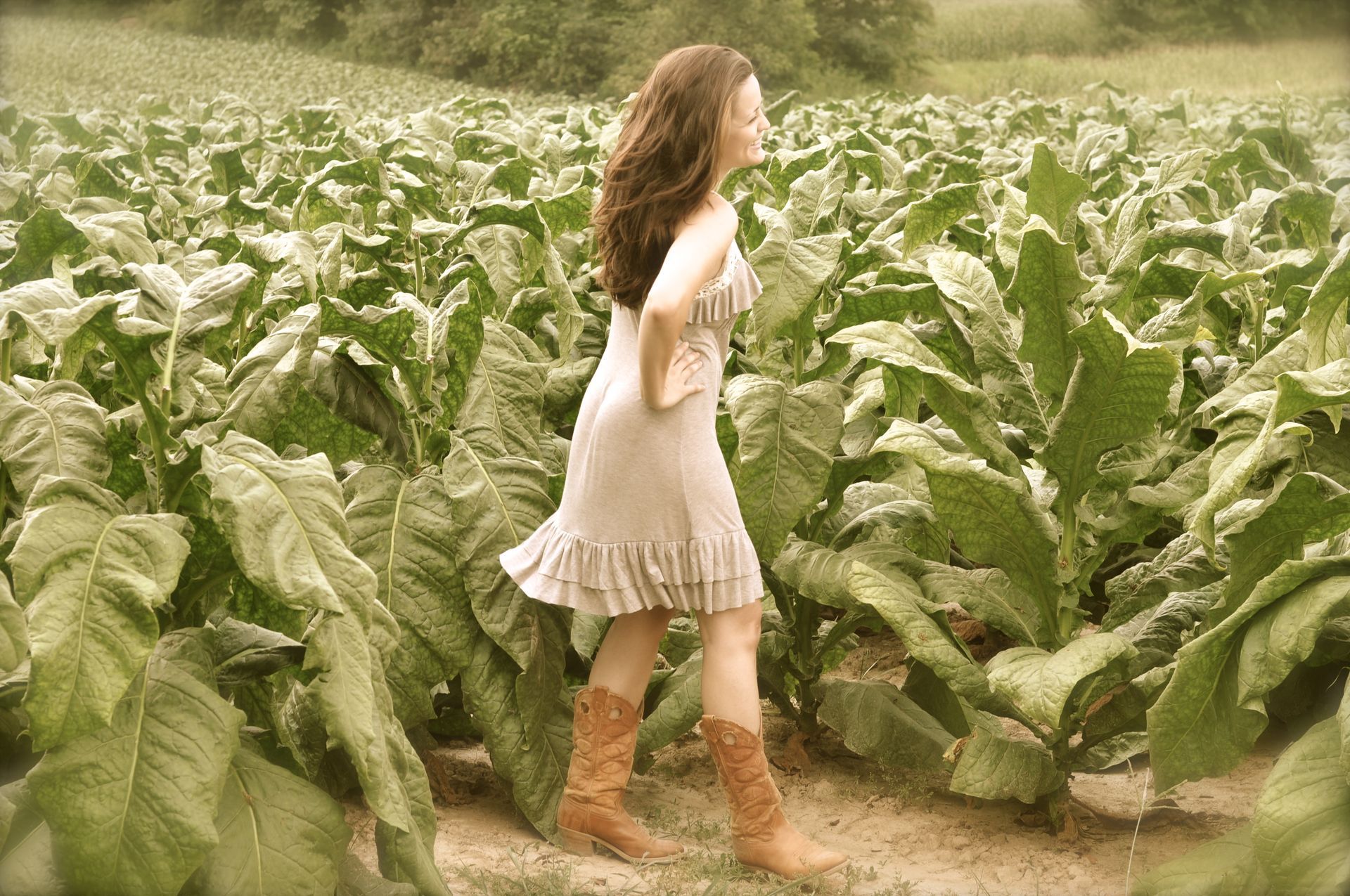 Woman in a light dress and boots walking through a green tobacco field