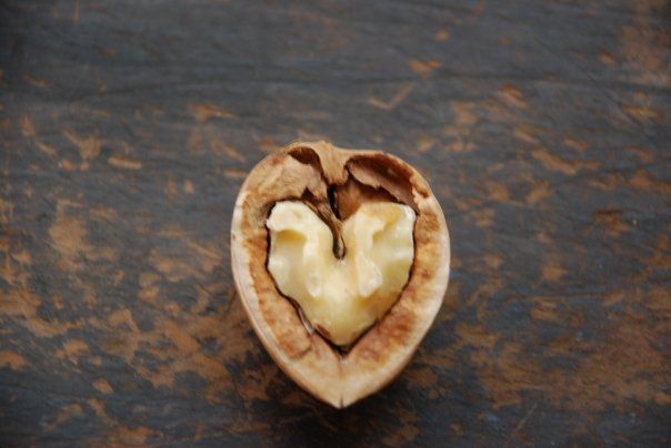 Opened walnut with heart-shaped kernel on a dark wooden surface