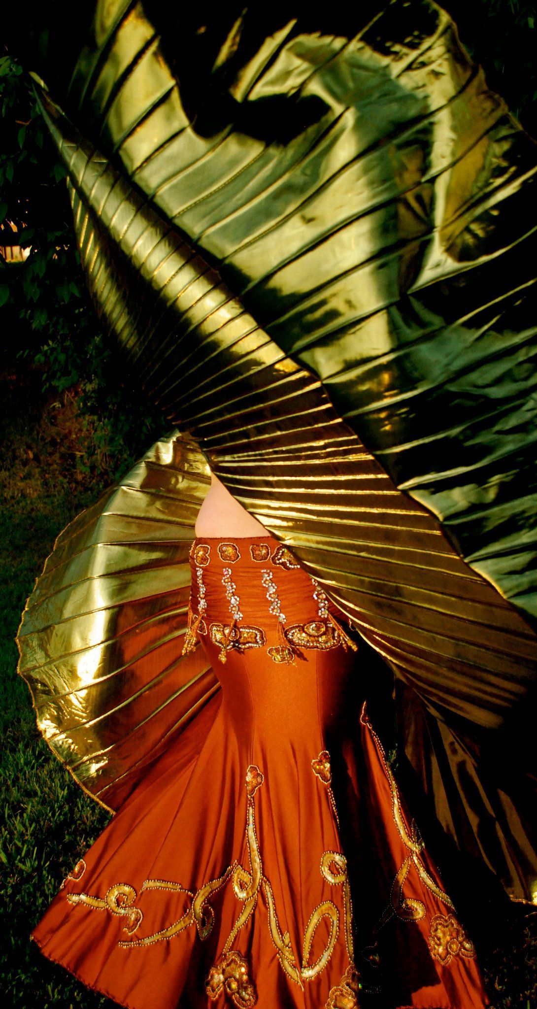 Palm fronds framing an orange, gold-embroidered sari in a dimly lit scene