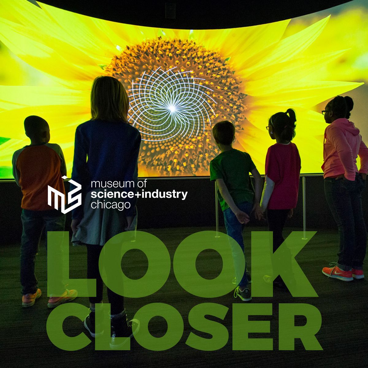 A group of children standing in front of a screen that says look closer
