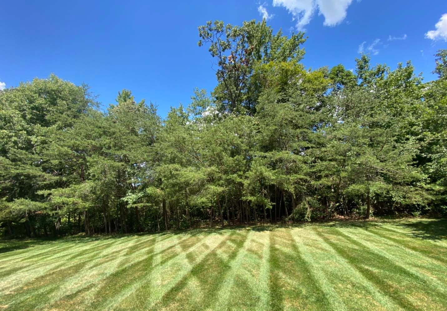 Large Yard — Cecil County, MD — Banks Land Management