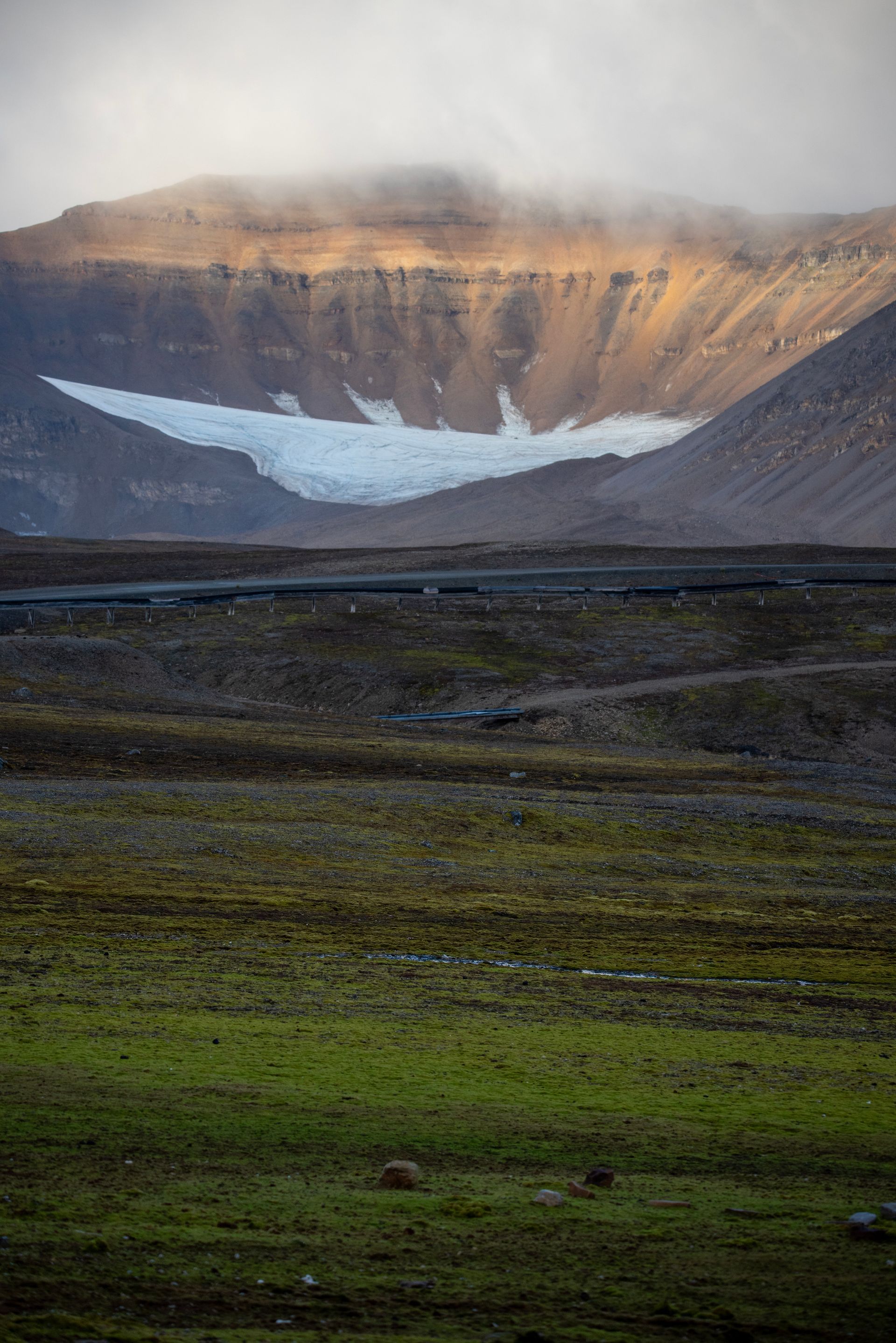 A mountain with a glacier in the background and a grassy field in the foreground in Svalbard.