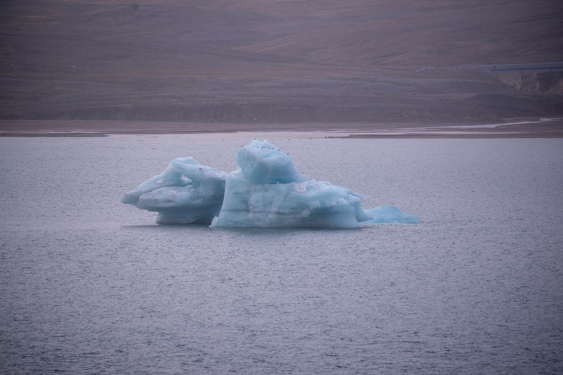A large piece of ice is floating on top of a body of water.