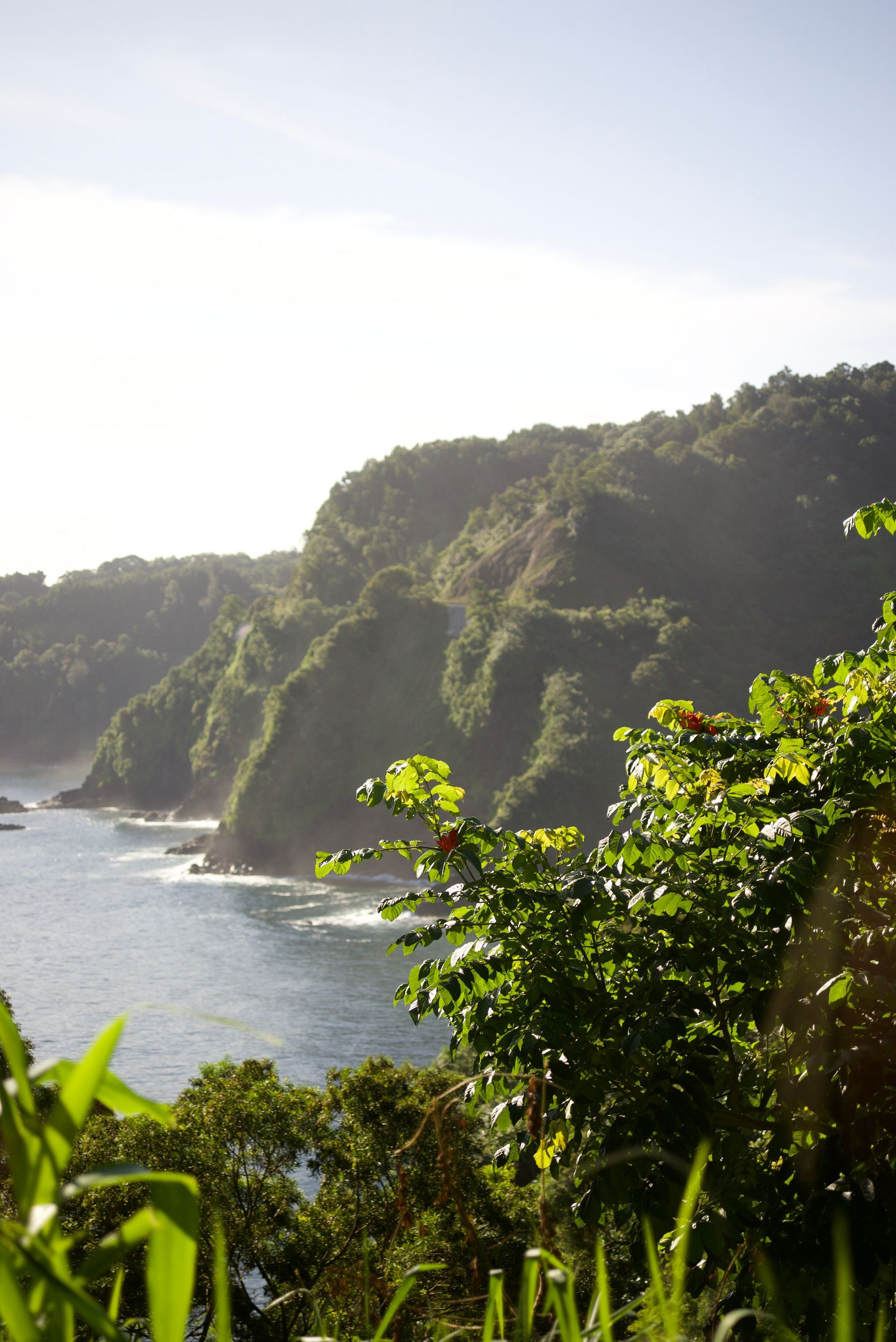 Ocean view of green, lush coastal cliffs under a bright sky.
