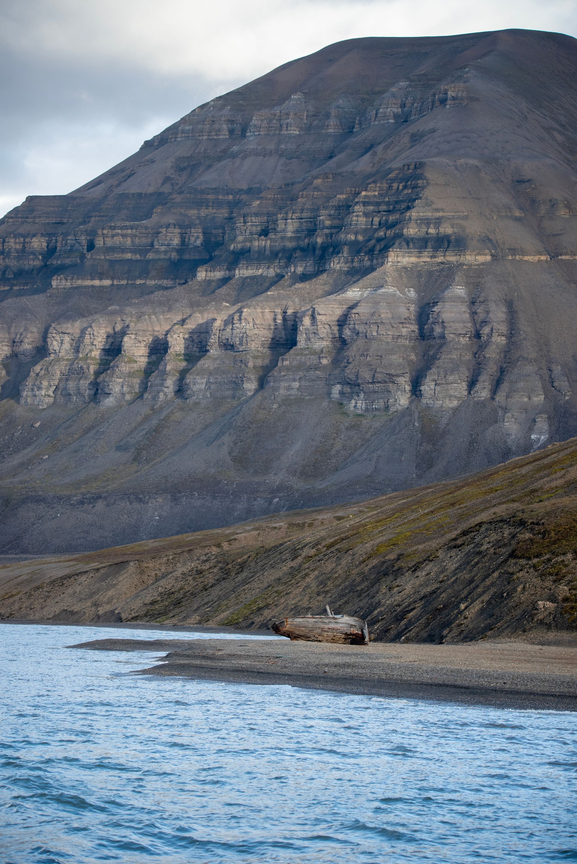 A seal is laying on the shore of a lake with a mountain in the background in Svalbard.