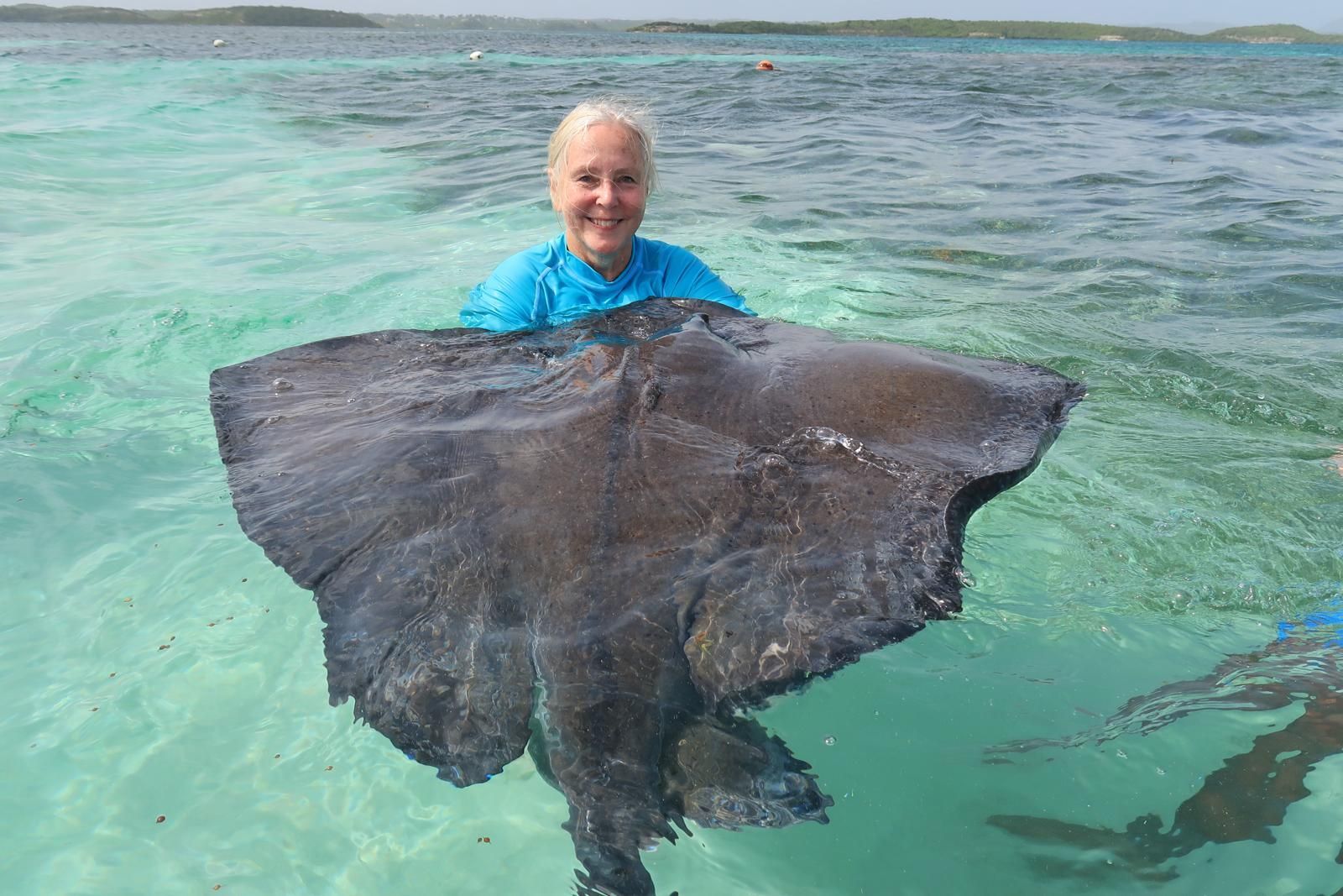 Woman holding a large, dark gray stingray in shallow, clear turquoise water.